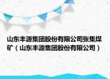 山東豐源集團股份有限公司張集煤礦（山東豐源集團股份有限公司）