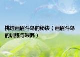挑選畫(huà)眉斗鳥(niǎo)的秘訣（畫(huà)眉斗鳥(niǎo)的訓(xùn)練與喂養(yǎng)）