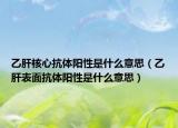 乙肝核心抗體陽性是什么意思（乙肝表面抗體陽性是什么意思）