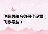 飛歌導(dǎo)航音效最佳設(shè)置（飛歌導(dǎo)航）