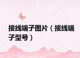 接線端子圖片（接線端子型號）