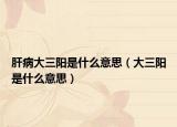 肝病大三陽是什么意思（大三陽是什么意思）