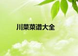 川菜菜譜大全