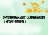 多發(fā)性膽結(jié)石是什么原因造成的（多發(fā)性膽結(jié)石）