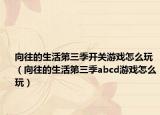 向往的生活第三季開關(guān)游戲怎么玩（向往的生活第三季abcd游戲怎么玩）