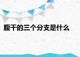 腹干的三個(gè)分支是什么