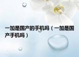 一加是國產(chǎn)的手機嗎（一加是國產(chǎn)手機嗎）