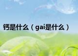 鈣是什么（gai是什么）