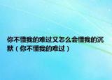 你不懂我的難過又怎么會(huì)懂我的沉默（你不懂我的難過）