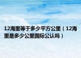 12海里等于多少平方公里（12海里是多少公里國際公認嗎）