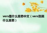 vers是什么意思中文（vers到底什么意思）