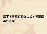鼻子上黃褐斑怎么去掉（黃褐斑怎么去掉）