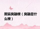 黑貓臭鼬梗（臭鼬是什么梗）