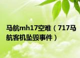 馬航mh17空難（717馬航客機墜毀事件）