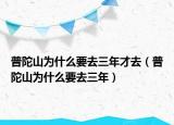 普陀山為什么要去三年才去（普陀山為什么要去三年）