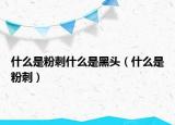 什么是粉刺什么是黑頭（什么是粉刺）
