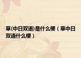 草(中日雙語)是什么梗（草中日雙語什么梗）