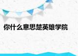 你什么意思楚英雄學(xué)院
