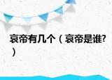 哀帝有幾個(gè)（哀帝是誰(shuí)?）