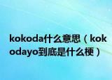 kokoda什么意思（kokodayo到底是什么梗）