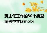 班主任工作的30個典型案例中學版mobi