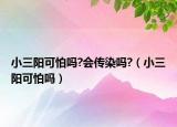 小三陽(yáng)可怕嗎?會(huì)傳染嗎?（小三陽(yáng)可怕嗎）