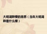 大明湖畔梗的意思（當年大明湖畔是什么梗）