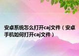 安卓系統(tǒng)怎么打開caj文件（安卓手機如何打開caj文件）