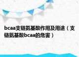 bcaa支鏈氨基酸作用及用途（支鏈氨基酸bcaa的危害）