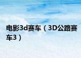 電影3d賽車（3D公路賽車3）