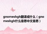 gnomeshgh翻譯成什么（gnomeshgh什么意思中文意思）