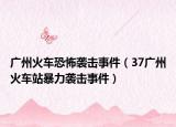 廣州火車(chē)恐怖襲擊事件（37廣州火車(chē)站暴力襲擊事件）