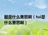 腿是什么意思?。╰ui是什么意思啊）