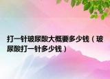 打一針玻尿酸大概要多少錢（玻尿酸打一針多少錢）
