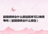 副團級轉(zhuǎn)業(yè)什么級別回來可以做領(lǐng)導嗎（副團級轉(zhuǎn)業(yè)什么級別）