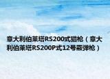 意大利伯萊塔RS200式獵槍（意大利伯萊塔RS200P式12號霰彈槍）