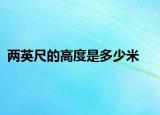 兩英尺的高度是多少米