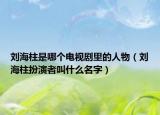 劉海柱是哪個電視劇里的人物（劉海柱扮演者叫什么名字）