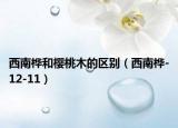 西南樺和櫻桃木的區(qū)別（西南樺-12-11）