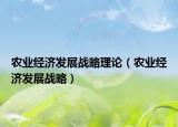 農(nóng)業(yè)經(jīng)濟(jì)發(fā)展戰(zhàn)略理論（農(nóng)業(yè)經(jīng)濟(jì)發(fā)展戰(zhàn)略）