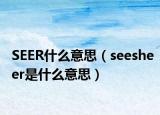 SEER什么意思（seesheer是什么意思）