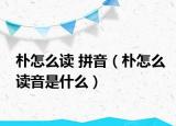 樸怎么讀 拼音（樸怎么讀音是什么）