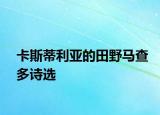 卡斯蒂利亞的田野馬查多詩選