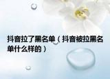 抖音拉了黑名單（抖音被拉黑名單什么樣的）
