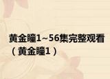 黃金瞳1~56集完整觀看（黃金瞳1）