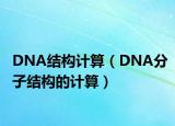 DNA結(jié)構(gòu)計(jì)算（DNA分子結(jié)構(gòu)的計(jì)算）