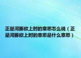 正是河豚欲上時的意思怎么說（正是河豚欲上時的意思是什么意思）