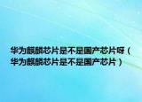 華為麒麟芯片是不是國(guó)產(chǎn)芯片呀（華為麒麟芯片是不是國(guó)產(chǎn)芯片）