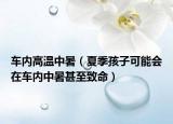 車內(nèi)高溫中暑（夏季孩子可能會在車內(nèi)中暑甚至致命）