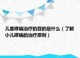 兒童哮喘治療的目的是什么（了解小兒哮喘的治療原則）
